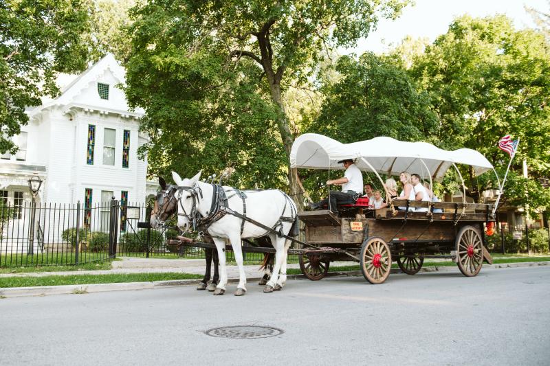 A covered wagon pulled by a dark brown and white mule stops in front of the Truman Home with trees in the background. 